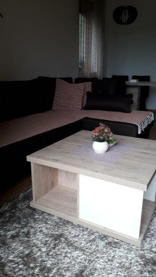 Apartman Nana Svetogorska 19 ,Stan 17 Златибор Екстер'єр фото