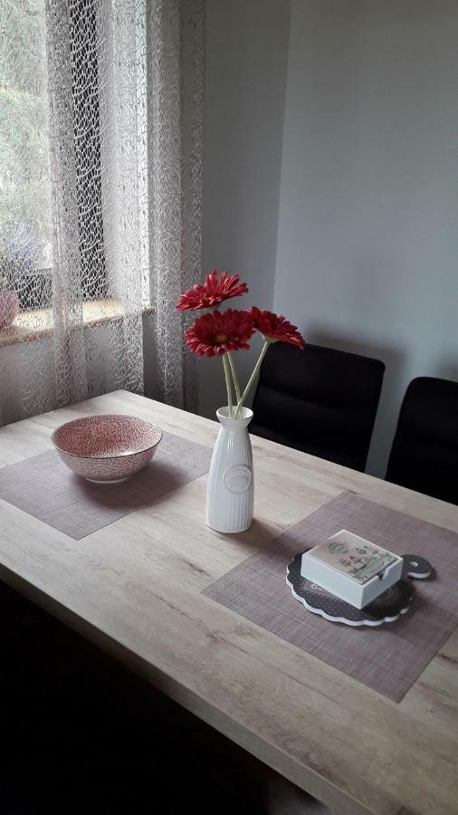 Apartman Nana Svetogorska 19 ,Stan 17 Златибор Екстер'єр фото