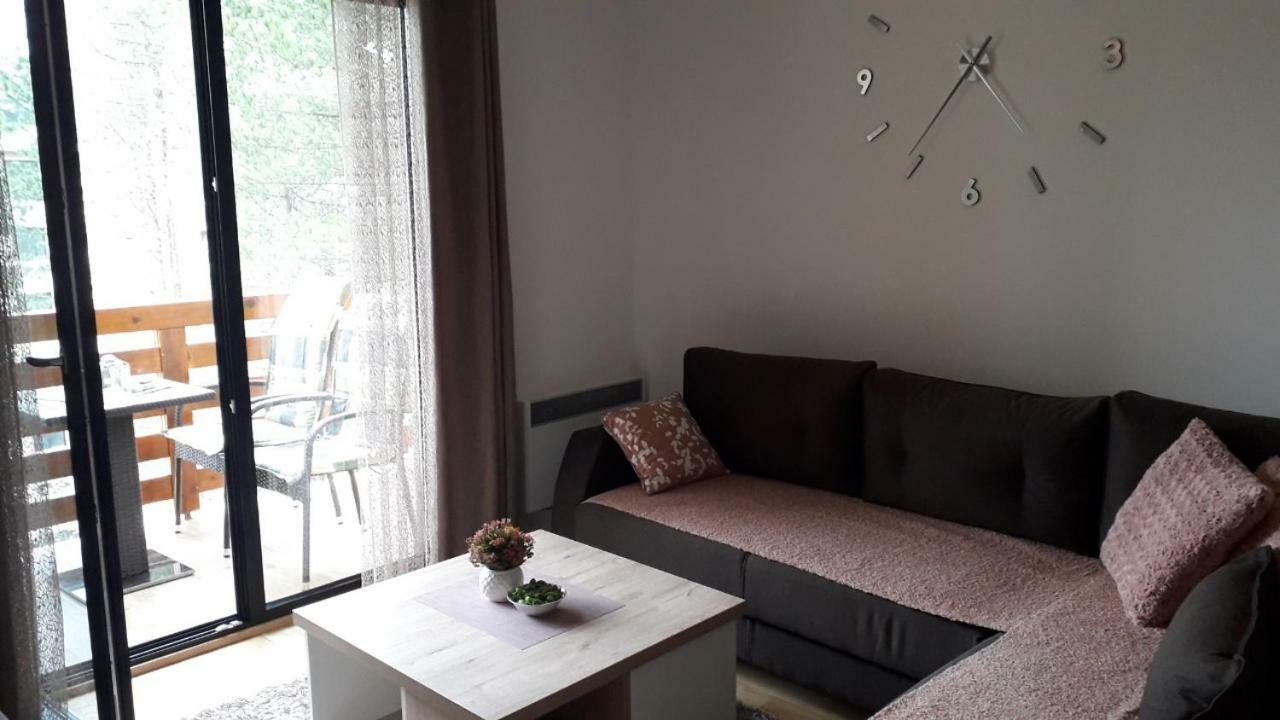 Apartman Nana Svetogorska 19 ,Stan 17 Златибор Екстер'єр фото