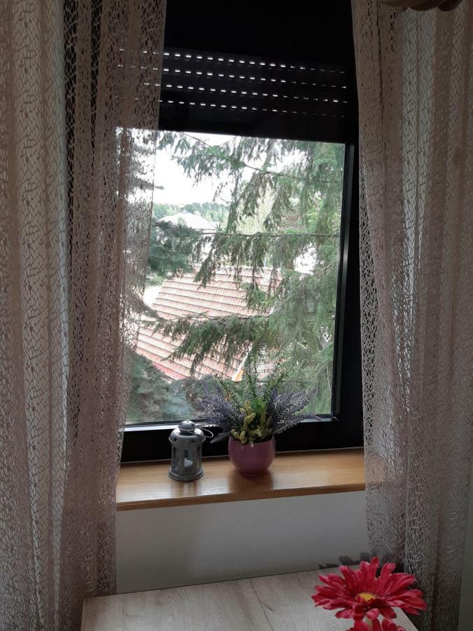 Apartman Nana Svetogorska 19 ,Stan 17 Златибор Екстер'єр фото